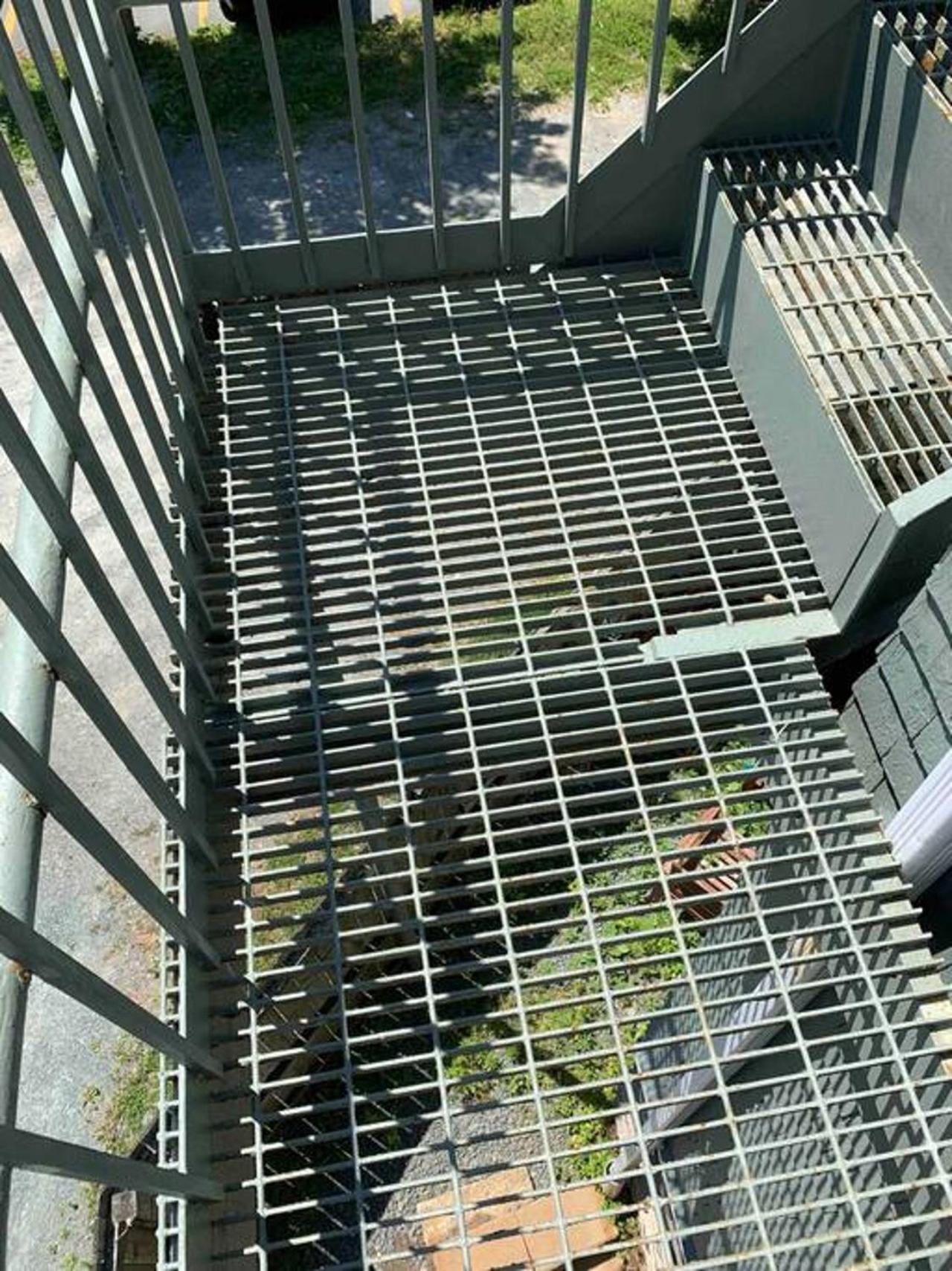 The Loft At Hiltz House Apartamento Halifax Exterior foto